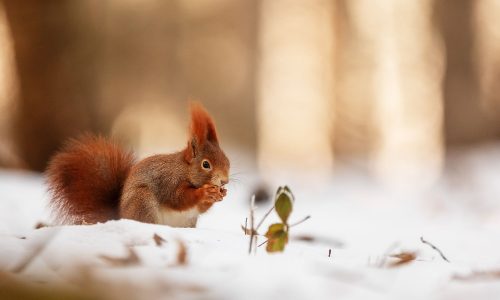 Διάβασε την προσωπική σου πρόβλεψη, για σήμερα 23/02/2026