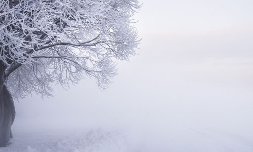 Διάβασε την προσωπική σου πρόβλεψη, για σήμερα 22/02/2026