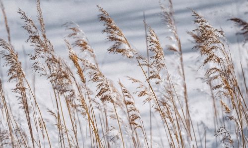 Διάβασε την προσωπική σου πρόβλεψη, για σήμερα 16/02/2026