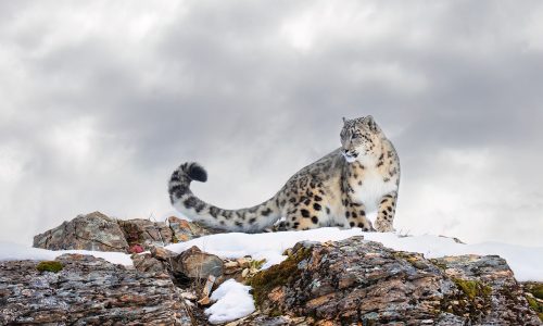 Διάβασε την προσωπική σου πρόβλεψη, για σήμερα 19/02/2026