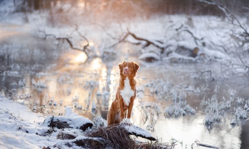 Διάβασε την προσωπική σου πρόβλεψη, για σήμερα 25/02/2026