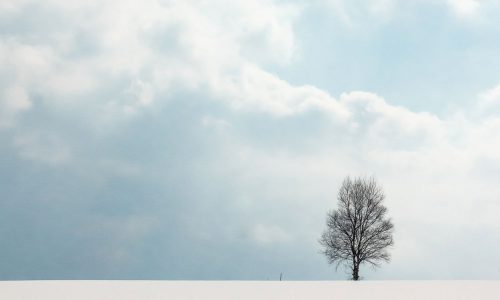 Διάβασε την προσωπική σου πρόβλεψη, για σήμερα 10/02/2026