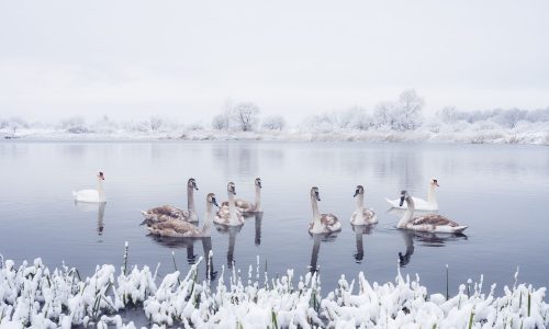 Διάβασε την προσωπική σου πρόβλεψη, για σήμερα 21/02/2026