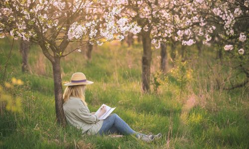 Ημερήσιες Προβλέψεις για όλα τα Ζώδια, 06/03/26: Ανάγκη για ισορροπία
