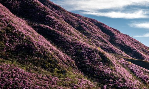 Διάβασε την προσωπική σου πρόβλεψη, για σήμερα 05/03/2026