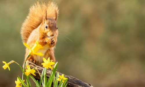 Διάβασε την προσωπική σου πρόβλεψη, για σήμερα 08/03/2026