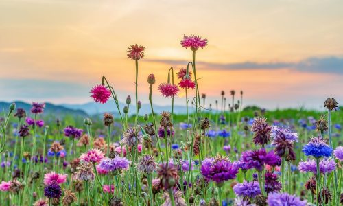 Διάβασε την προσωπική σου πρόβλεψη, για σήμερα 07/03/2026