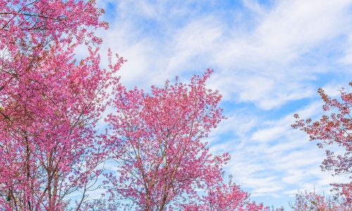 Διάβασε την προσωπική σου πρόβλεψη, για σήμερα 09/03/2026