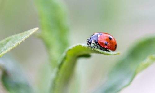 Διάβασε την προσωπική σου πρόβλεψη, για σήμερα 04/03/2026