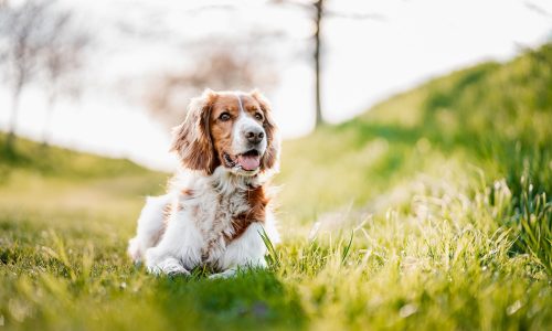 Διάβασε την προσωπική σου πρόβλεψη, για σήμερα 16/03/2026