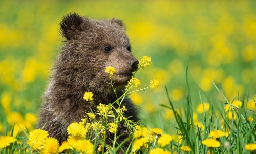 Διάβασε την προσωπική σου πρόβλεψη, για σήμερα 18/03/2026