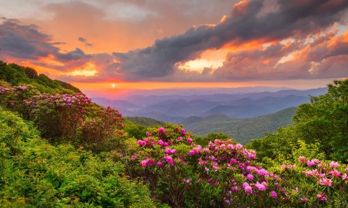 Διάβασε την προσωπική σου πρόβλεψη, για σήμερα 17/03/2026