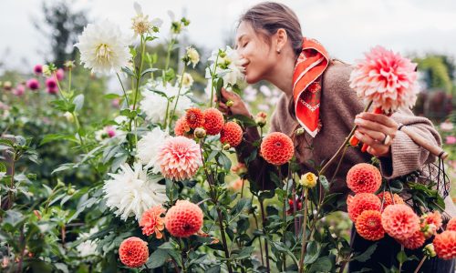 Ημερήσιες Προβλέψεις για όλα τα Ζώδια, 19/03/26: Ένας νέος κύκλος αρχίζει