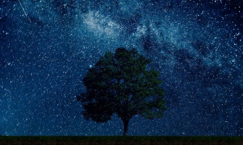 Σε επηρεάζουν οι πλανήτες από 16/03 έως 22/03;