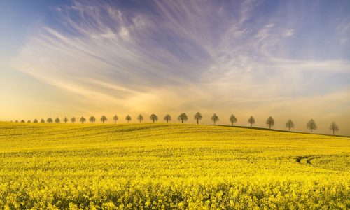 Απρίλιος 2026: Ποιοι πλανήτες επηρεάζουν τη ζωή σου;