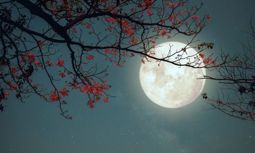 2 ζώδια θα εκτεθούν ή θα εκθέσουν πρόσωπα και καταστάσεις, σήμερα 02/04 – Δες, αν είσαι μέσα!