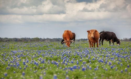 Διάβασε την προσωπική σου πρόβλεψη, για σήμερα 06/04/2026