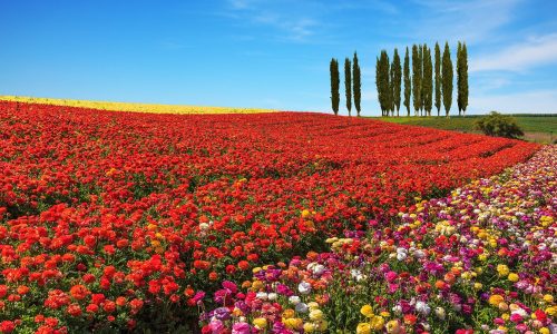 Διάβασε την προσωπική σου πρόβλεψη, για σήμερα 01/04/2026