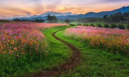 Διάβασε την προσωπική σου πρόβλεψη, για σήμερα 09/04/2026