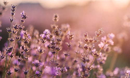 Διάβασε την προσωπική σου πρόβλεψη, για σήμερα 03/04/2026