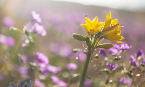 Διάβασε την προσωπική σου πρόβλεψη, για σήμερα 05/04/2026