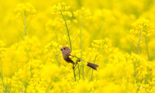 Διάβασε την προσωπική σου πρόβλεψη, για σήμερα 04/04/2026