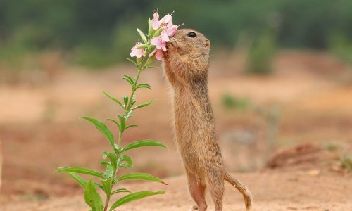Διάβασε την προσωπική σου πρόβλεψη, για σήμερα 10/04/2026