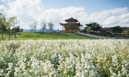 Κινέζικο Ωροσκόπιο 2026: Προβλέψεις των ζωδίων από 17/04 έως 16/05