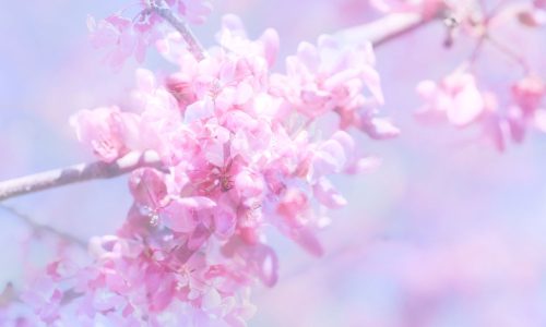 Διάβασε την προσωπική σου πρόβλεψη, για σήμερα 15/04/2026