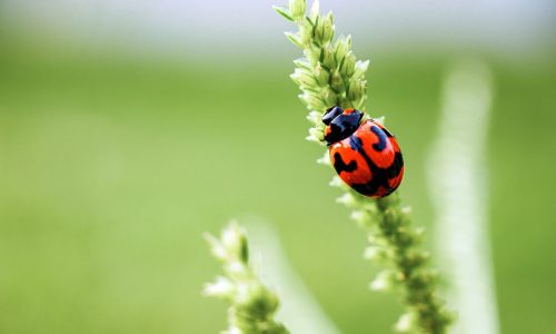 Διάβασε την προσωπική σου πρόβλεψη, για σήμερα 14/04/2026
