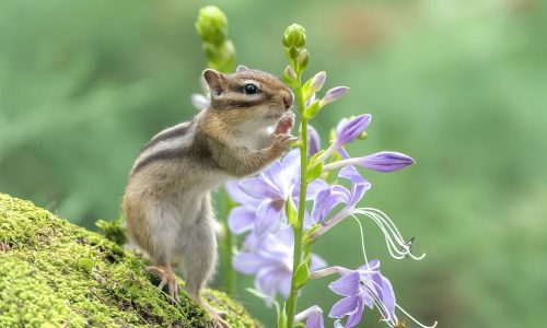 Διάβασε την προσωπική σου πρόβλεψη, για σήμερα 22/04/2026