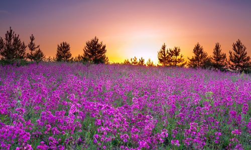 Διάβασε την προσωπική σου πρόβλεψη, για σήμερα 19/04/2026