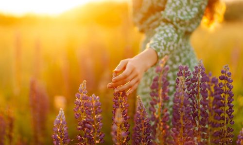 Ημερήσιες Προβλέψεις για όλα τα Ζώδια, 25/04/26: Διαχειρίσου τις πιέσεις