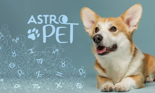 AstroPet από 21/04 έως 27/04: Εβδομαδιαίες προβλέψεις για το κατοικίδιό σου