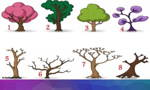 Ποιο δέντρο από τα 8 σε αντιπροσωπεύει; Η επιλογή σου αποκαλύπτει τον αληθινό σου χαρακτήρα