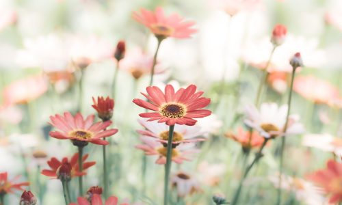 Διάβασε την προσωπική σου πρόβλεψη, για σήμερα 27/04/2026