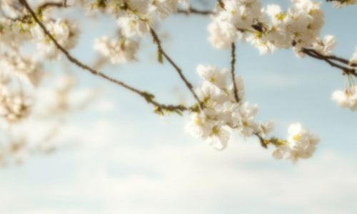 Διάβασε την προσωπική σου πρόβλεψη, για σήμερα 06/05/2026