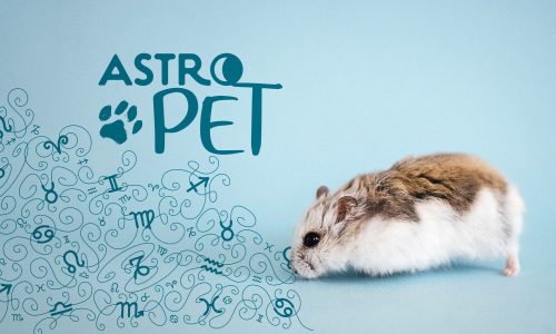 AstroPet από 09/06 έως 15/06: Εβδομαδιαίες προβλέψεις για το κατοικίδιό σου