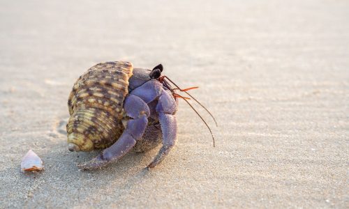 Διάβασε την προσωπική σου πρόβλεψη, για σήμερα 18/07/2026