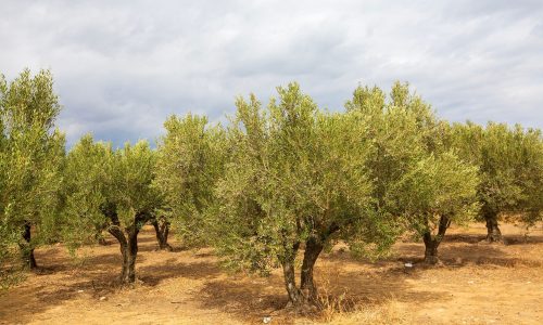 Διάβασε την προσωπική σου πρόβλεψη, για σήμερα 21/07/2026