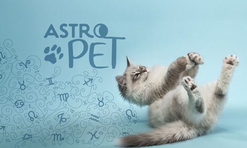 AstroPet από 28/07 έως 03/08: Εβδομαδιαίες προβλέψεις για το κατοικίδιό σου
