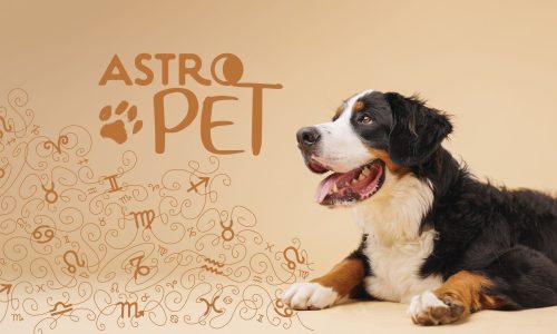 AstroPet από 14/07 έως 20/07: Εβδομαδιαίες προβλέψεις για το κατοικίδιό σου