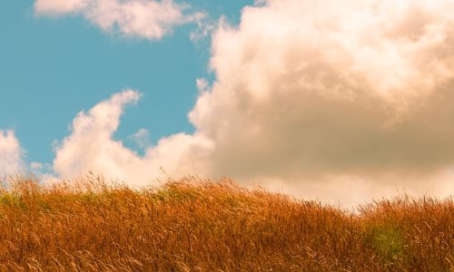 Διάβασε την προσωπική σου πρόβλεψη, για σήμερα 03/09/2026
