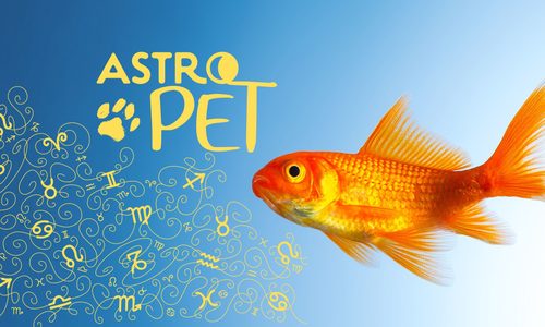 AstroPet από 15/09 έως 21/09: Εβδομαδιαίες προβλέψεις για το κατοικίδιό σου