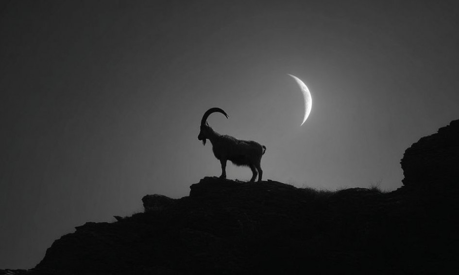 Ζώδια Σήμερα 18/01: Νέα Σελήνη στον Αιγόκερω – Ανάλαβε δεσμεύσεις