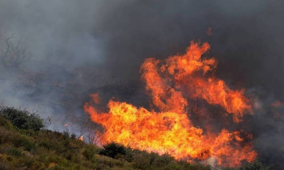 Φωτιά στις Σέρρες: Συνεχίζεται η μάχη με τις φλόγες στην Αλιστράτη