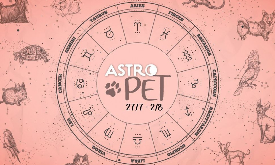 AstroPet από 27/07 έως 02/08: Εβδομαδιαίες προβλέψεις για το κατοικίδιό σου
