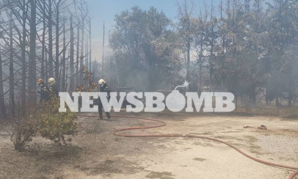 Φωτιά στη Νέα Κηφισιά: Λαχτάρησαν οι κάτοικοι της περιοχής – Κάηκαν δύο αυτοκίνητα