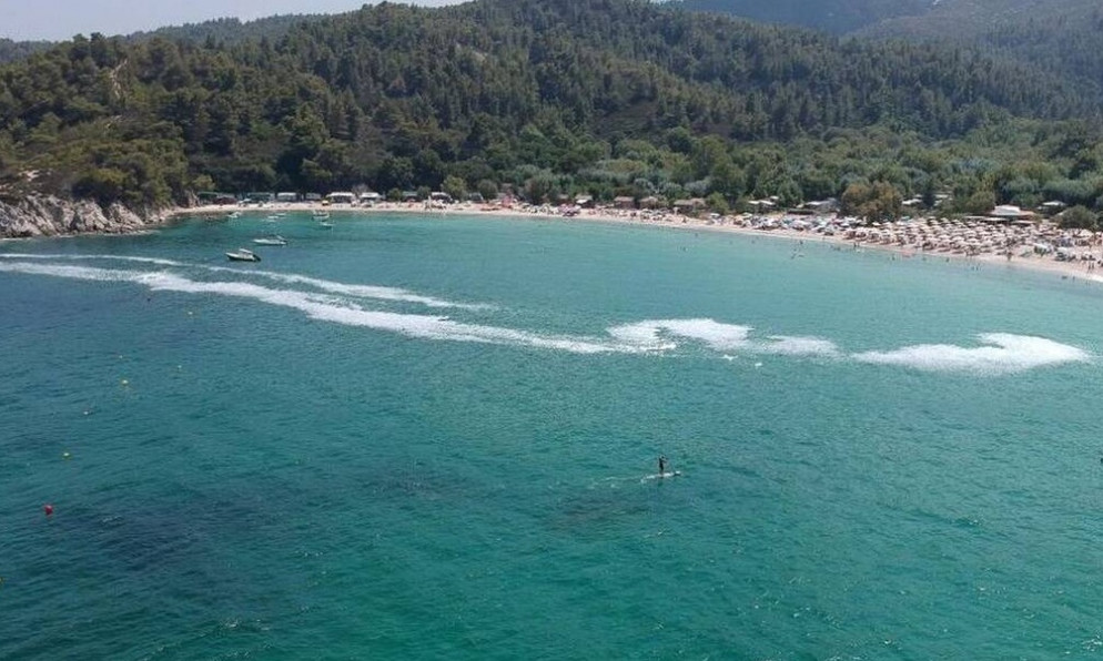 Χαλκιδική: Μετά τις μέδουσες, το φαινόμενο του ευτροφισμού απειλεί τώρα τις παραλίες (pics)