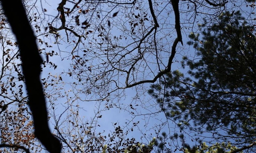 Περιπέτεια 19 εκδρομέων - Χάθηκαν σε δασική περιοχή της Νάουσας